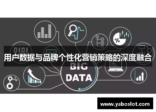 用户数据与品牌个性化营销策略的深度融合